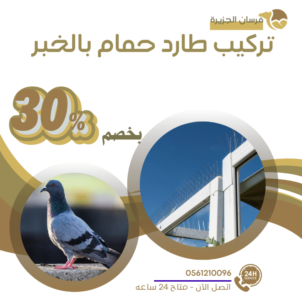 تركيب طارد حمام بالخبر 0597957765 اتصل الان بخصم 30%