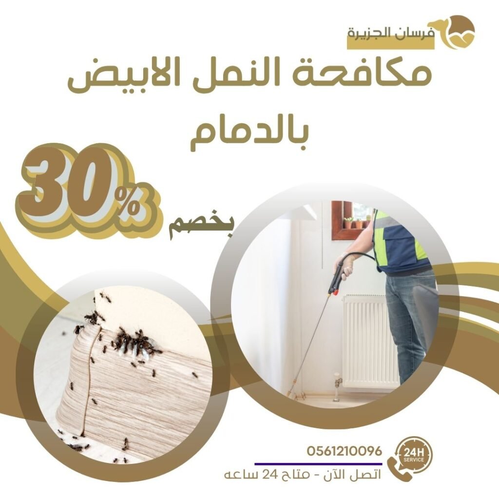 مكافحة النمل الابيض بالدمام
