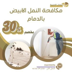 مكافحة النمل الابيض بالدمام