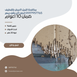 مكافحة النمل الابيض بالقطيف 0597957765 اتصل الآن بأقل سعر