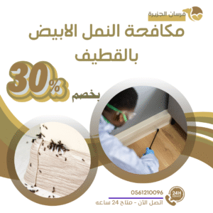 مكافحة النمل الابيض بالقطيف