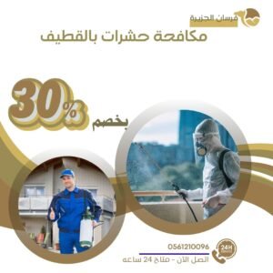 مكافحة حشرات بالقطيف